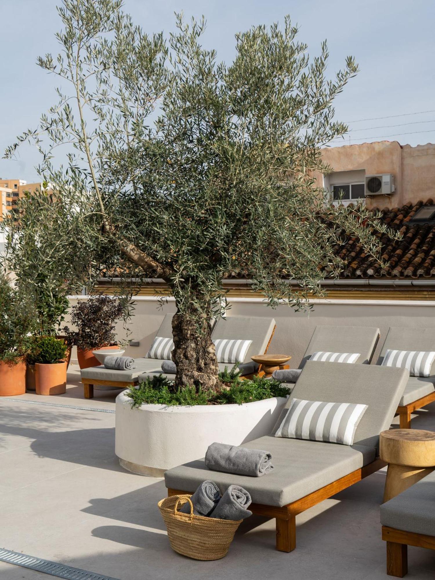 Hotel Well And Come Μάλαγα Εξωτερικό φωτογραφία
